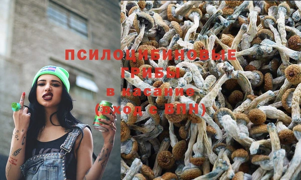 ALPHA PVP Абинск