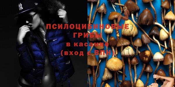 каннабис Абаза
